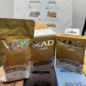 MAD LABS 2G ALL IN ONE VAPE DISPOSABLE