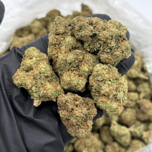 Cadillac runtz CVT4 strain