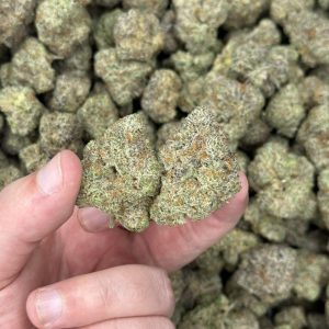 Wedding Crashers strain