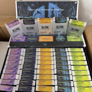 Y3K Disposables