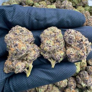 Blueberry Headband cannabis strain