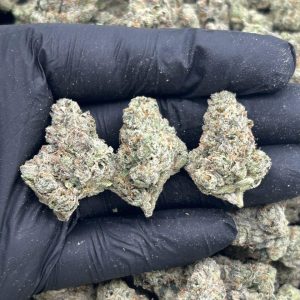 Lemon Poppers strain