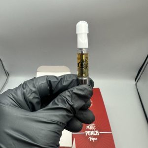 punch extracts