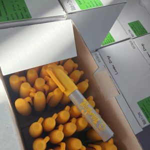 penjamins