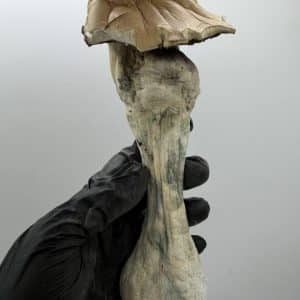 legendary trons mushroom