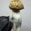 Blue Storm Shrooms